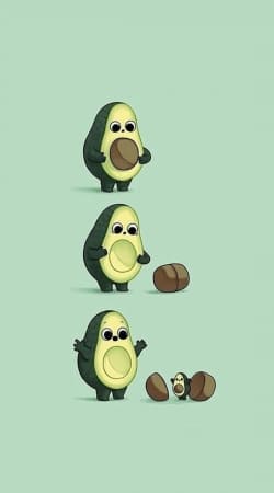 cover Avocado Born