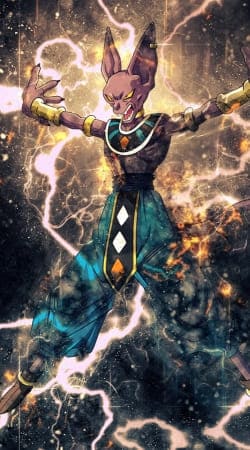 cover Beerus