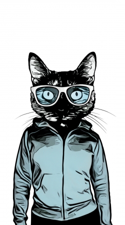 cover Cool Cat