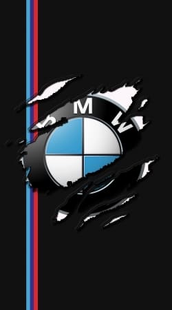 cover Fan Driver Bmw GriffeSport