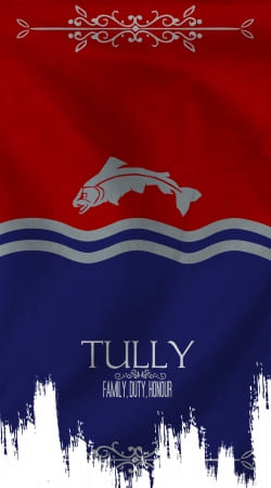 cover Flag House Tully