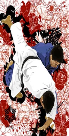 cover Judo