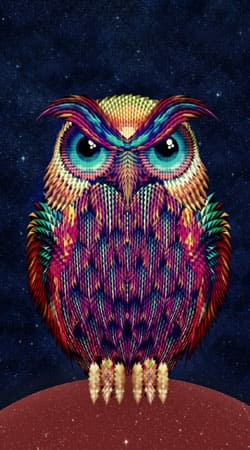 cover Owls in space