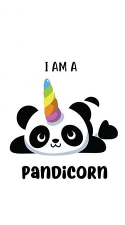 cover Panda x Licorne Means Pandicorn