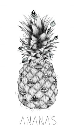 cover PineApplle