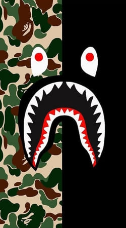 cover Shark Bape Camo Military Bicolor
