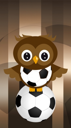 cover Soccer Owl