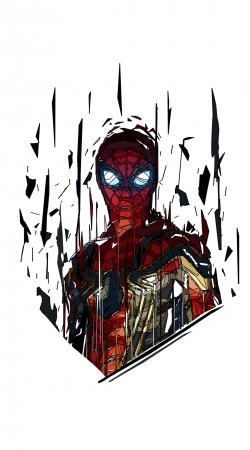 cover Spiderman Poly
