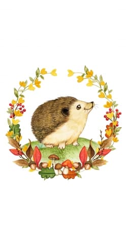 cover watercolor hedgehog in a fall woodland wreath