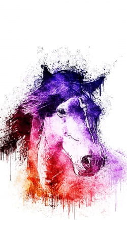 cover watercolor horse