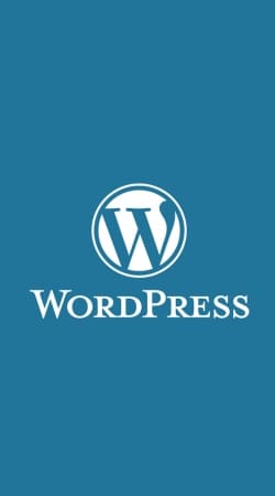 cover Wordpress maintenance