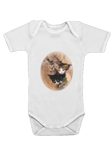  Three cute kittens in a wall hole for Baby short sleeve onesies