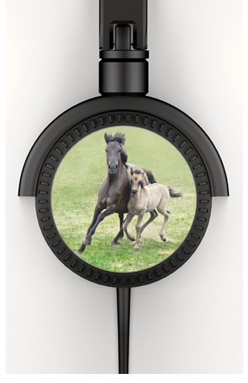  Horses, wild Duelmener ponies, mare and foal for Stereo Headphones To custom