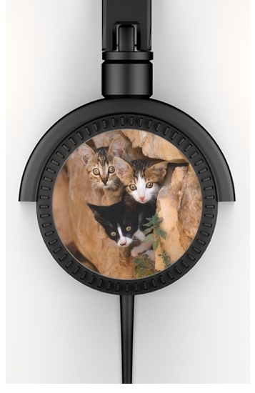  Three cute kittens in a wall hole for Stereo Headphones To custom