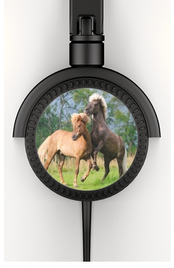  Two Icelandic horses playing, rearing and frolic around in a meadow for Stereo Headphones To custom