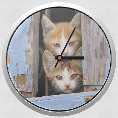  Cute curious kittens in an old window for Wall clock