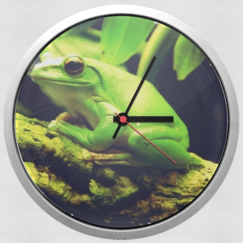  Green Frog for Wall clock