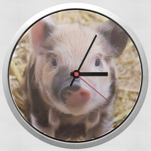  Pipapig for Wall clock