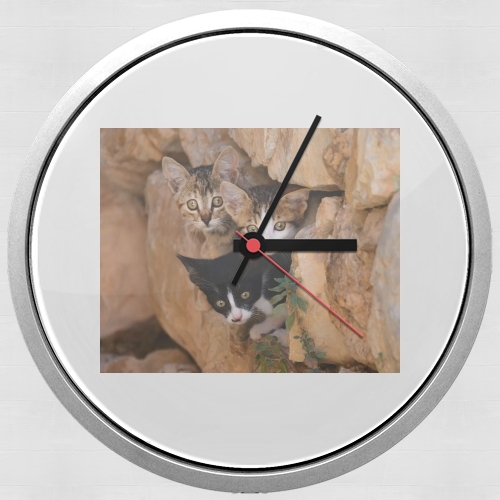  Three cute kittens in a wall hole for Wall clock