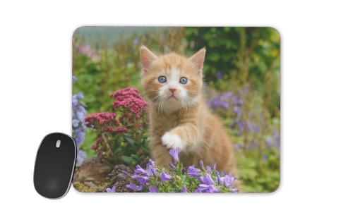  Cute ginger kitten in a flowery garden, lovely and enchanting cat for Mousepad