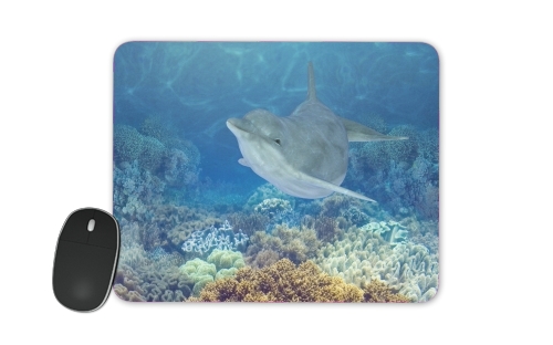  happy dolphins for Mousepad