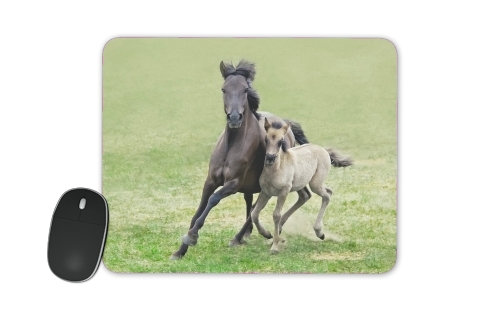  Horses, wild Duelmener ponies, mare and foal for Mousepad