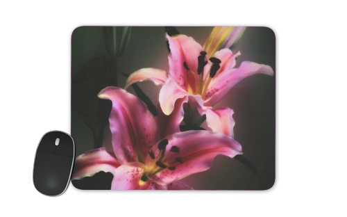  Painting Pink Stargazer Lily for Mousepad