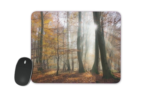  Sun rays in a mystic misty forest for Mousepad