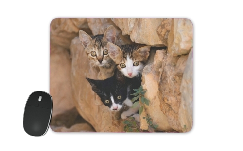  Three cute kittens in a wall hole for Mousepad
