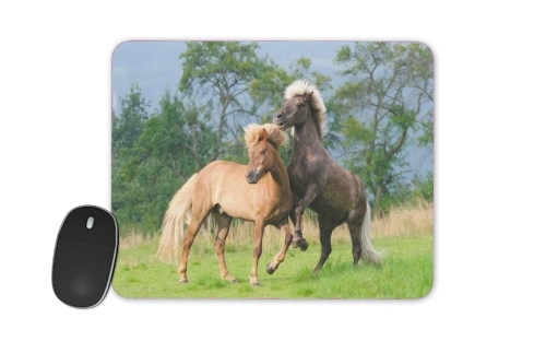  Two Icelandic horses playing, rearing and frolic around in a meadow for Mousepad