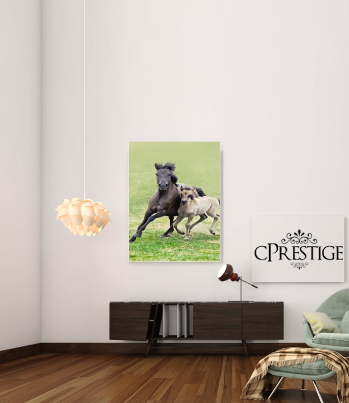  Horses, wild Duelmener ponies, mare and foal for Art Print Adhesive 30*40 cm