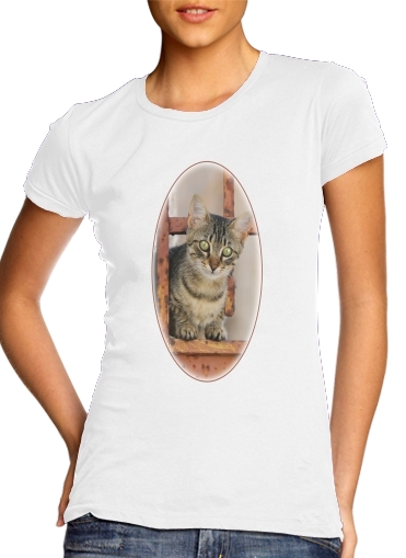  Cute kitten on a rusty iron door  for Women's Classic T-Shirt
