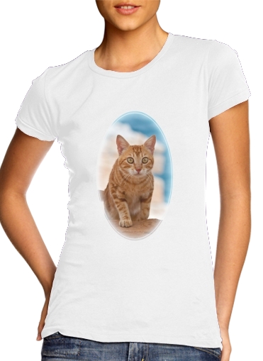  Ginger kitten on a cliff for Women's Classic T-Shirt