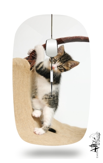  Baby cat, cute kitten climbing for Wireless optical mouse with usb receiver