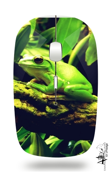  Green Frog for Wireless optical mouse with usb receiver