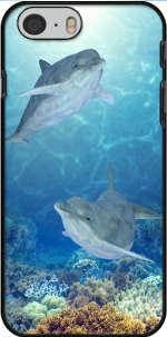 Case happy dolphins for Iphone 6 4.7