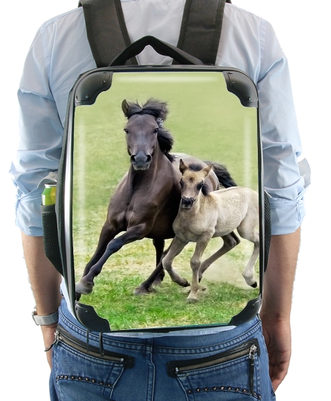  Horses, wild Duelmener ponies, mare and foal for Backpack