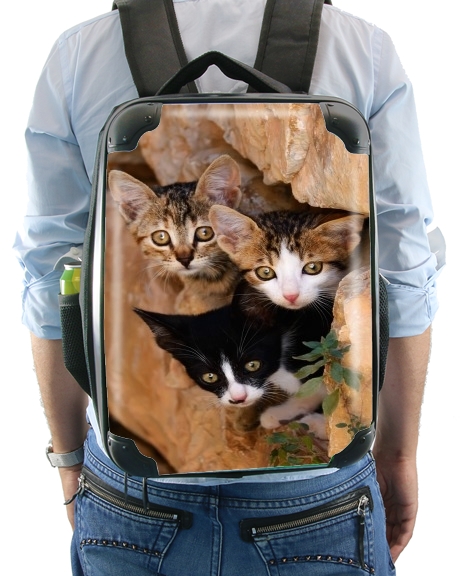  Three cute kittens in a wall hole for Backpack