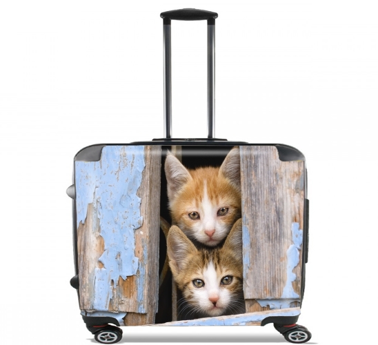  Cute curious kittens in an old window for Wheeled bag cabin luggage suitcase trolley 17" laptop