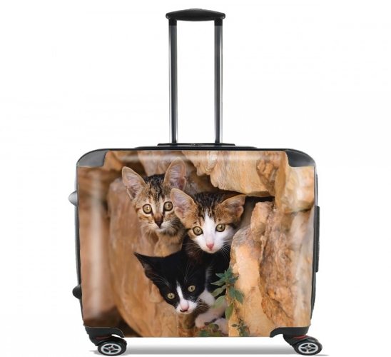  Three cute kittens in a wall hole for Wheeled bag cabin luggage suitcase trolley 17" laptop
