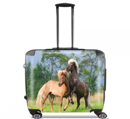  Two Icelandic horses playing, rearing and frolic around in a meadow for Wheeled bag cabin luggage suitcase trolley 17" laptop