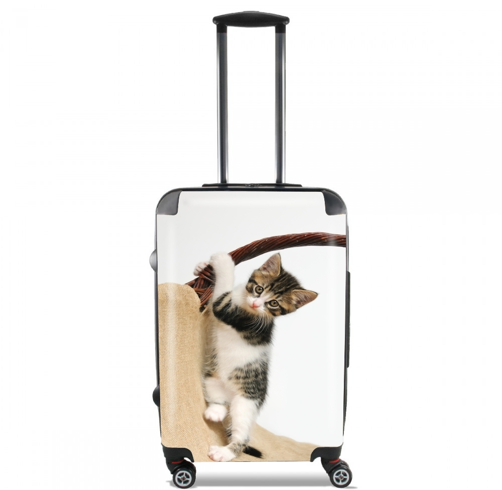  Baby cat, cute kitten climbing for Lightweight Hand Luggage Bag - Cabin Baggage