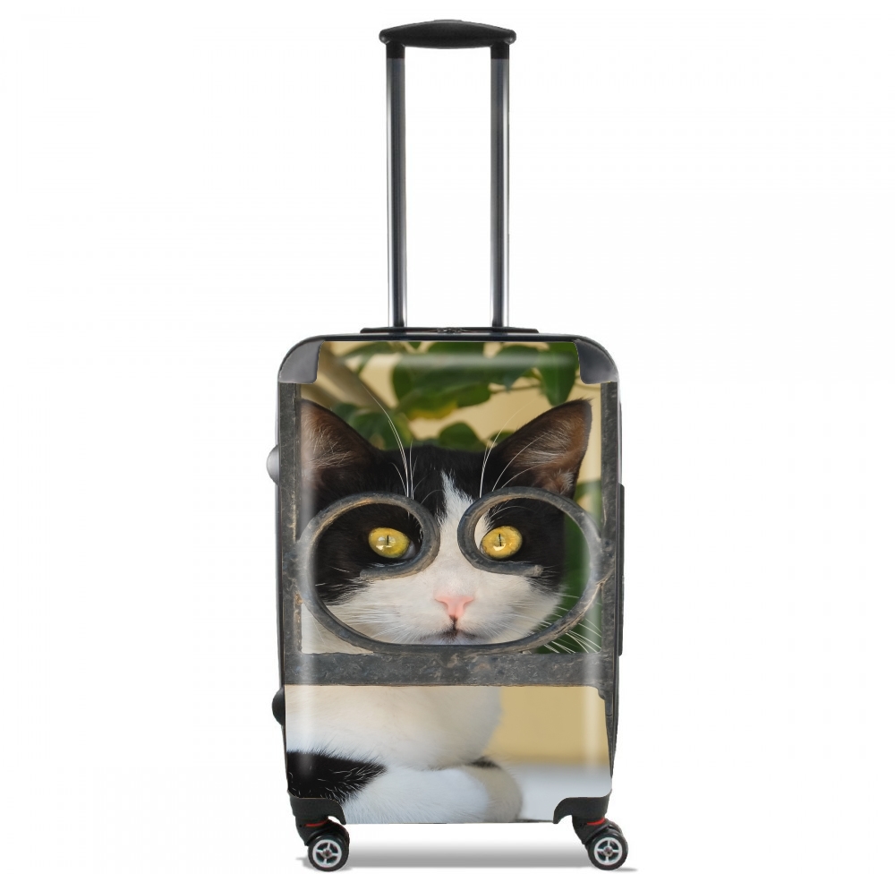  Cat with spectacles frame, she looks through a wrought iron fence for Lightweight Hand Luggage Bag - Cabin Baggage