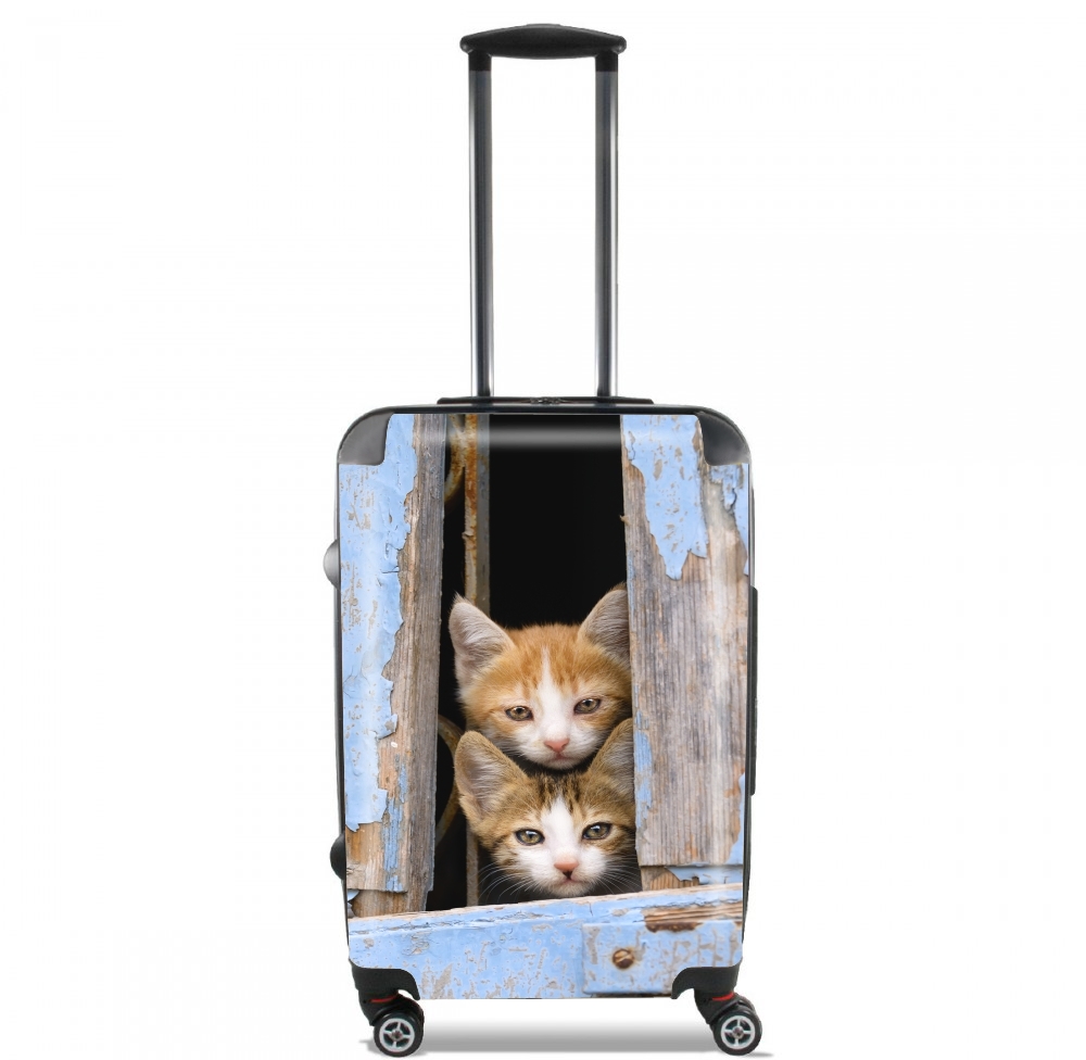  Cute curious kittens in an old window for Lightweight Hand Luggage Bag - Cabin Baggage