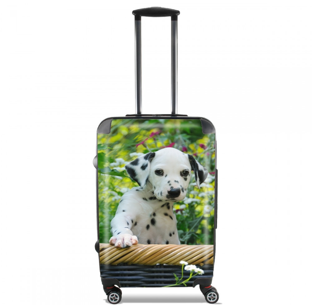  Cute Dalmatian puppy in a basket  for Lightweight Hand Luggage Bag - Cabin Baggage