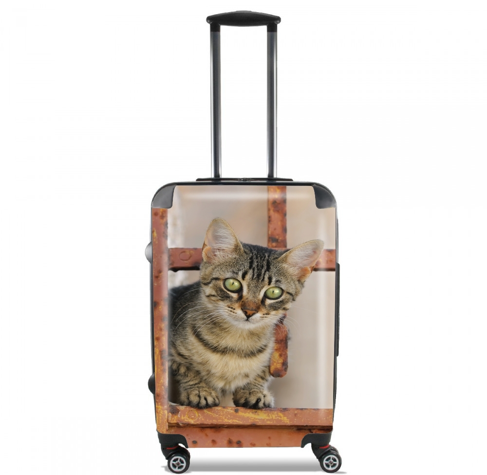  Cute kitten on a rusty iron door  for Lightweight Hand Luggage Bag - Cabin Baggage