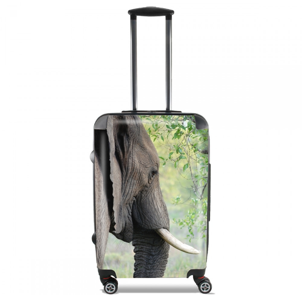  Elephant for Lightweight Hand Luggage Bag - Cabin Baggage