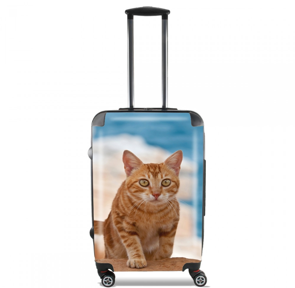  Ginger kitten on a cliff for Lightweight Hand Luggage Bag - Cabin Baggage