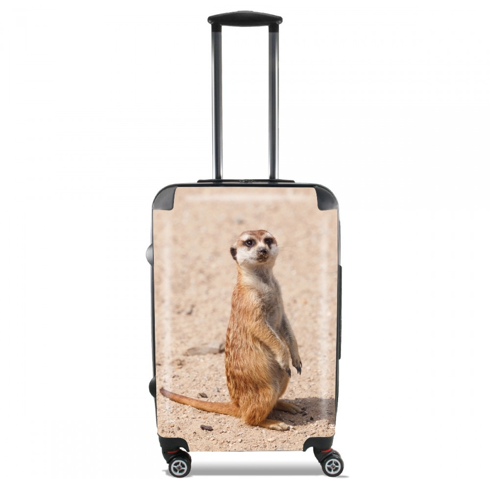  Meerkat for Lightweight Hand Luggage Bag - Cabin Baggage