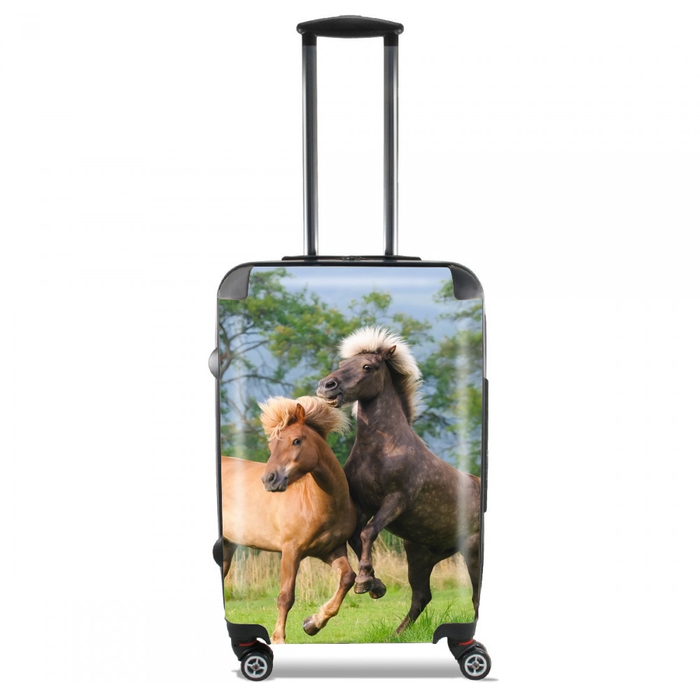  Two Icelandic horses playing, rearing and frolic around in a meadow for Lightweight Hand Luggage Bag - Cabin Baggage